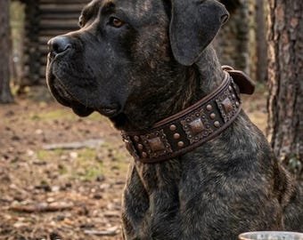 Spiked Dog Collar Genuine Leather, Medium to Large, Adjustable D-Ring Metal Buckle