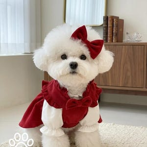 May include: A white dog in a red dress and bow. The dress features a ruffled collar and sleeves, with a bow at the waist. The dog is on a white rug. The text "Pawfull" is visible at the bottom of the image.
