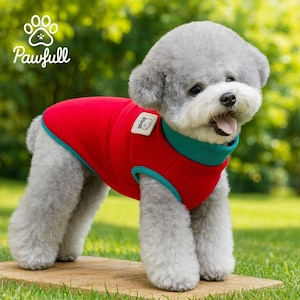 Peut inclure: Un chien gris portant un gilet rouge avec une bordure turquoise. Le gilet a un petit patch blanc avec du texte. Le chien se tient sur une surface en bois devant un fond vert. Le logo "Pawfull" est dans le coin supérieur gauche.