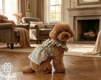 Pet Lace Dress, Sage Green with Bow and Flutter Sleeves (Small Size)