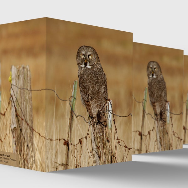 owl note card, owl lover greeting card, nature lover gifts, wildlife photography products, gifts for birdwatchers, wildlife conservation,