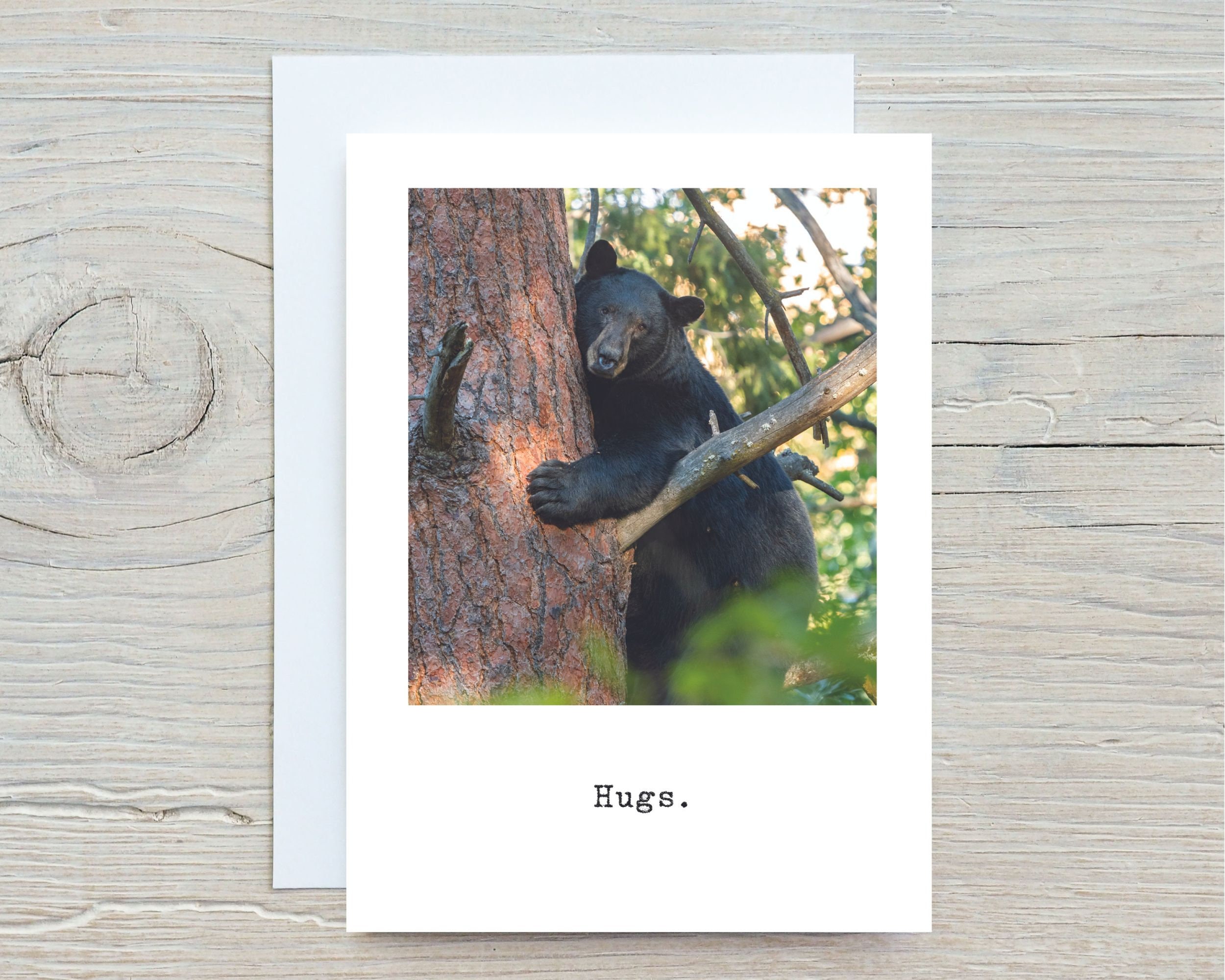 Sympathy Card, Sorry for Your Loss Card, Cute Bear Card, Blank Note ...