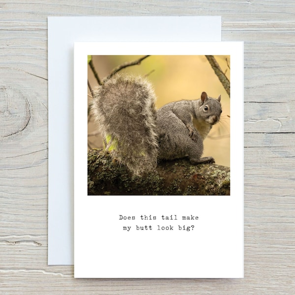 Squirrel greeting card, funny squirrel note card, wildlife note cards, blank greetings, Cards about butts, silly animal, cute animal gifts