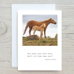 wild horse note card, blank note card, inspirational quote card, wild mustang, isadora duncan quote, all purpose greeting card, the steens