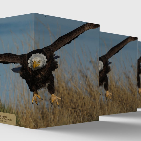 Time To Fly - Bald Eagle Note Card, eagle, raptor, wildlife, photography, oregon, flight, inspiring, talons, America, USA, wild