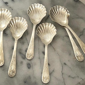 Puede incluir: Un juego de cinco cucharas de servir de color plateado. Cada cuchara presenta un cuenco en forma de concha con detalles acanalados y un mango largo con un diseño floral ornamentado. Las cucharas están dispuestas sobre una superficie de mármol.