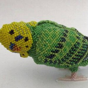 "Mein Sittich ""Casey"" ein Peyote Beaded Box Tutorial."