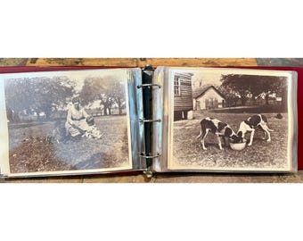 Rare 1920 Mississippi River Flood Photo Album - 29 Loose Photos Ursino Plant.