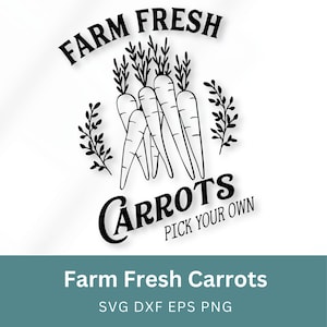 Farm Fresh Carrots Pick Your Own Sign SVG. Easter Decor. Instant Digital Download. SvG, EpS, PnG, DxF. Personal Use.