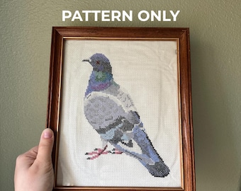 May include: A framed cross-stitch pattern featuring a detailed depiction of a pigeon. The bird is rendered in shades of gray, blue, and purple, with red feet. The text "PATTERN ONLY" is above the frame.