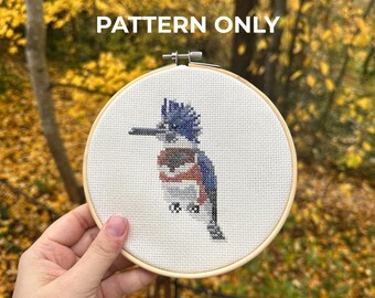 Belted Kingfisher Cross Stitch Pattern | Bird Embroidery (Digital Pattern)