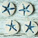 Blue and White Star Fish Buttons, Ceramic Buttons, Ocean Inspired, Glazed, Pottery, Clay, sewing, knitting supplies, accent, accessory