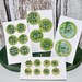 Clay Buttons, Spring Green, Dark Green, Texture, Handmade Buttons, Pottery, Assorted Sizes, sewing supplies, knitting supplies, accessory