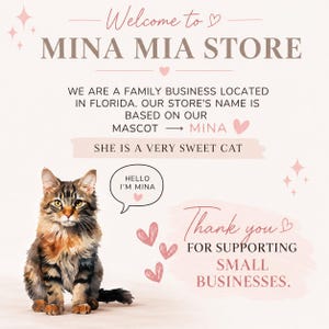 May include: A light pink informational graphic for Mina Mia Store featuring a brown and black tabby cat mascot. The text reads: Welcome to Mina Mia Store, We are a family business located in Florida. Our store's name is based on our mascot Mina. She is a very sweet cat. Hello I'm Mina. Thank you for supporting small businesses.