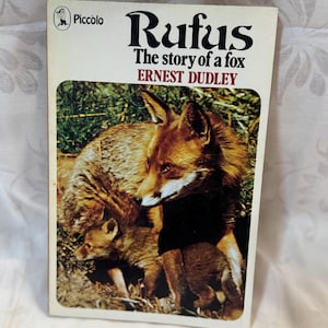 Rufus The Story of a Fox