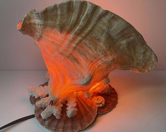 Vintage Midcentury Queen Conch Shell Tischlampe - Nautisches Dekor Meer Strand Haus Dekor