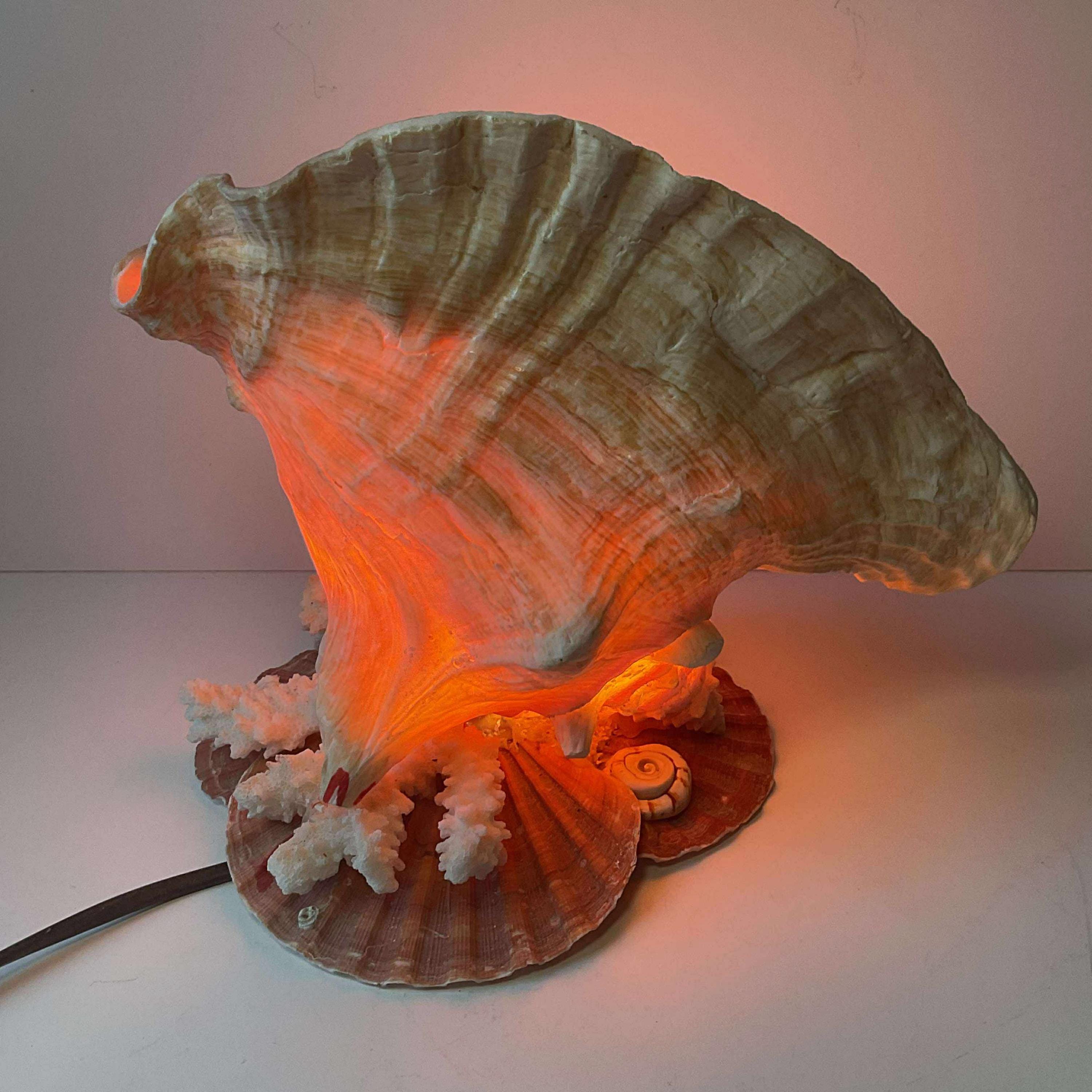 Cameo shell lamp - Etsy 日本