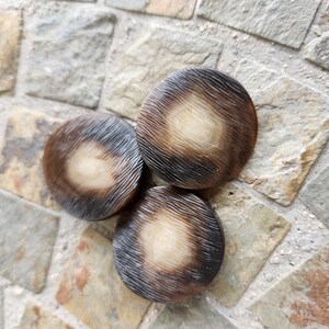 May include: Three round, brown and white, decorative coasters with a textured surface.