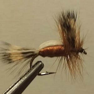May include: A brown and white fly fishing lure with a copper body and a long tail of feathers.