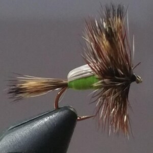 May include: A green and white fly fishing lure with brown and white feathers.