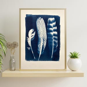Original Cyanotype Artwork | 9×12 Blue Feather Sun Print on Watercolor Paper