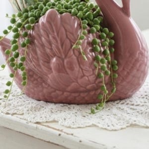 May include: A dusty rose ceramic swan planter featuring a textured feather design on the body and a long, curved neck. The planter is filled with a trailing string of pearls plant and two small, rectangular paper tags with printed text.