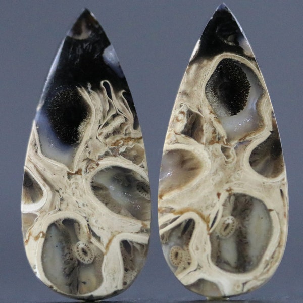 Earring & Jewelry Pair Beautiful Palm Tree Root Fossil Specimen Ancient Petrified Forests of Indonesia Bird's Eye Agate 28MM | 15 CARATS