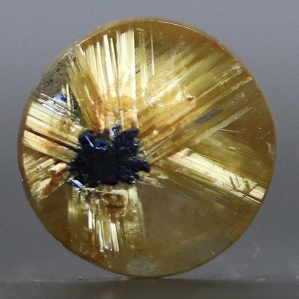 Gold Star Rutilated Quartz Fine Cabochon 5 Points