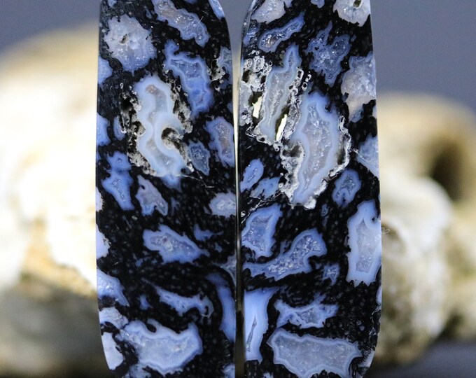 Gembone Dinosaur Bone Fossilized Cabochon Set Matching Pair Flat Back ...
