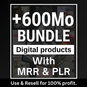 AI in Digital Marketing Bundle with resell rights | 13 modules, video, links & +600Mo course assets (PLR/MRR)