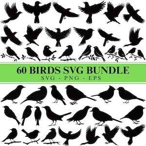 May include: A collection of 60 black bird silhouettes in various poses, including flying and perched positions. The image includes the text "60 BIRDS SVG BUNDLE" in white on a green background, with file type indicators.