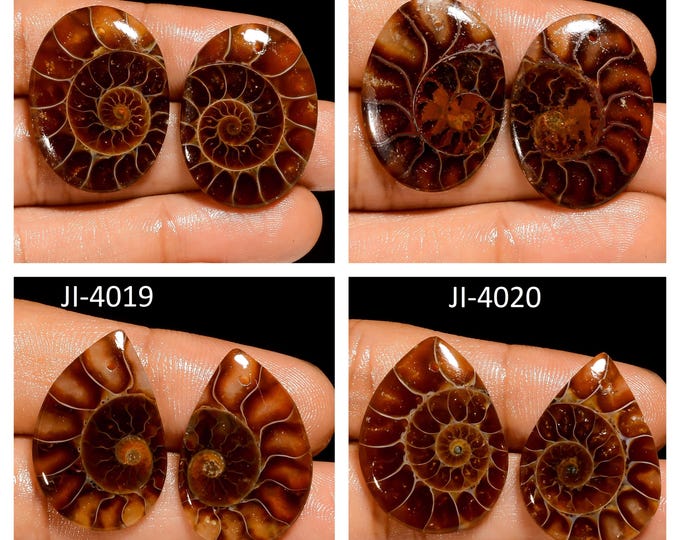 Natural Ammonite Fancy Shape Front Drilled Smooth Cabochon Matching Pairs, Semi-Precious Gemstones For Jewelry Making