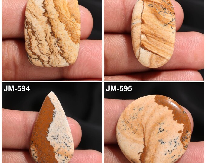 Natural Picture Jasper Fancy Shape Un-Drilled Smooth Cabochon Single Pieces, Semi-Precious Gemstones For Jewelry Making