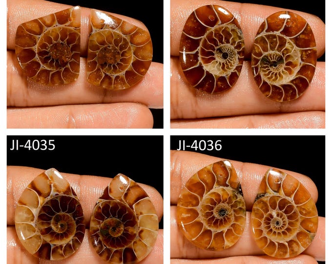 Natural Ammonite Fancy Shape Front Drilled Smooth Cabochon Matching Pairs, Semi-Precious Gemstones For Jewelry Making