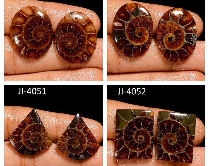 Natural Ammonite Fancy Shape Front Drilled Smooth Cabochon Matching Pairs, Semi-Precious Gemstones For Jewelry Making