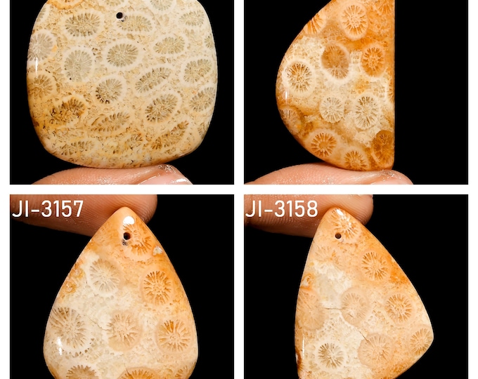 Natural Fossil Coral Fancy Shape Front Drilled Smooth Cabochon Single Pieces, Semi-Precious Gemstones For Jewelry Making