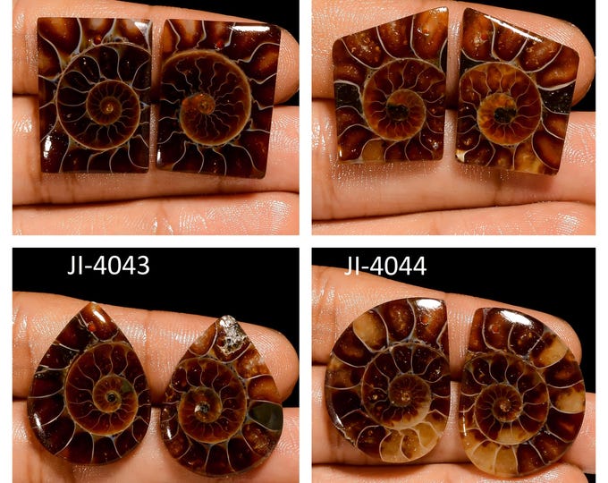 Natural Ammonite Fancy Shape Front Drilled Smooth Cabochon Matching Pairs, Semi-Precious Gemstones For Jewelry Making