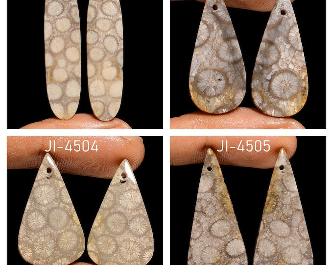 Natural Fossil Coral Fancy Shape Front Drilled Smooth Cabochon Matching Pairs, Semi-Precious Gemstones For Jewelry Making