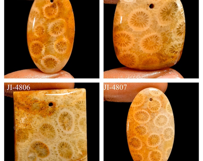 Natural Fossil Coral Fancy Shape Front Drilled Smooth Cabochon Single Pieces, Semi-Precious Gemstones For Jewelry Making