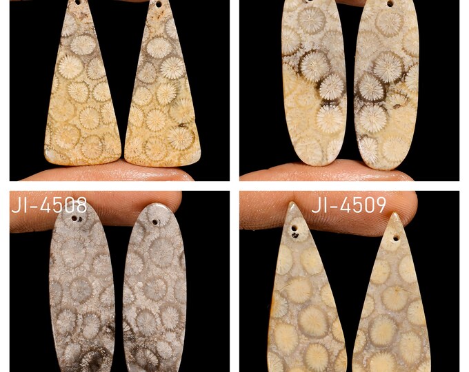 Natural Fossil Coral Fancy Shape Front Drilled Smooth Cabochon Matching Pairs, Semi-Precious Gemstones For Jewelry Making
