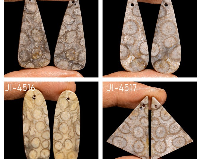 Natural Fossil Coral Fancy Shape Front Drilled Smooth Cabochon Matching Pairs, Semi-Precious Gemstones For Jewelry Making