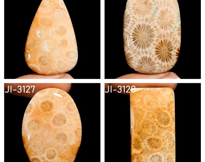 Natural Fossil Coral Fancy Shape Un-Drilled Smooth Cabochon Single Pieces, Semi-Precious Gemstones For Jewelry Making