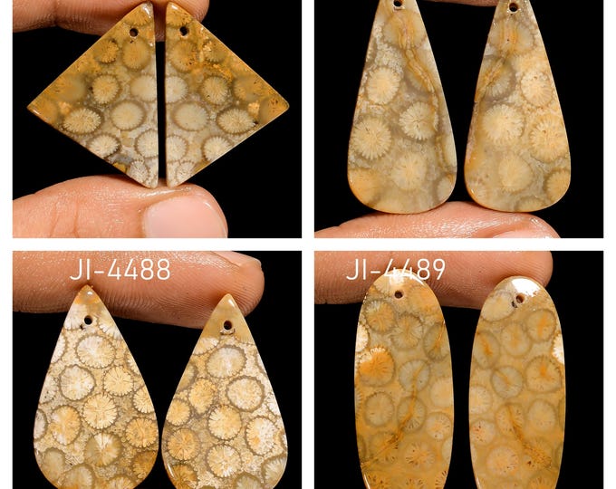 Natural Fossil Coral Fancy Shape Front Drilled Smooth Cabochon Matching Pairs, Semi-Precious Gemstones For Jewelry Making