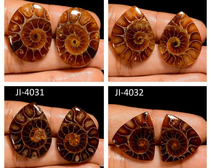 Natural Ammonite Fancy Shape Front Drilled Smooth Cabochon Matching Pairs, Semi-Precious Gemstones For Jewelry Making