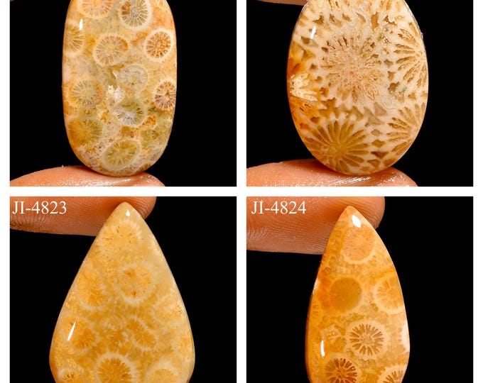 Natural Fossil Coral Fancy Shape Un-Drilled Smooth Cabochon Single Pieces, Semi-Precious Gemstones For Jewelry Making