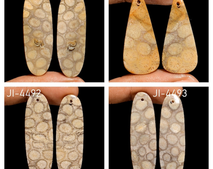 Natural Fossil Coral Fancy Shape Front Drilled Smooth Cabochon Matching Pairs, Semi-Precious Gemstones For Jewelry Making