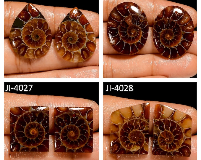 Natural Ammonite Fancy Shape Front Drilled Smooth Cabochon Matching Pairs, Semi-Precious Gemstones For Jewelry Making