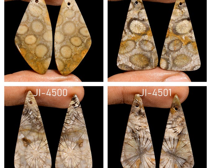 Natural Fossil Coral Fancy Shape Front Drilled Smooth Cabochon Matching Pairs, Semi-Precious Gemstones For Jewelry Making