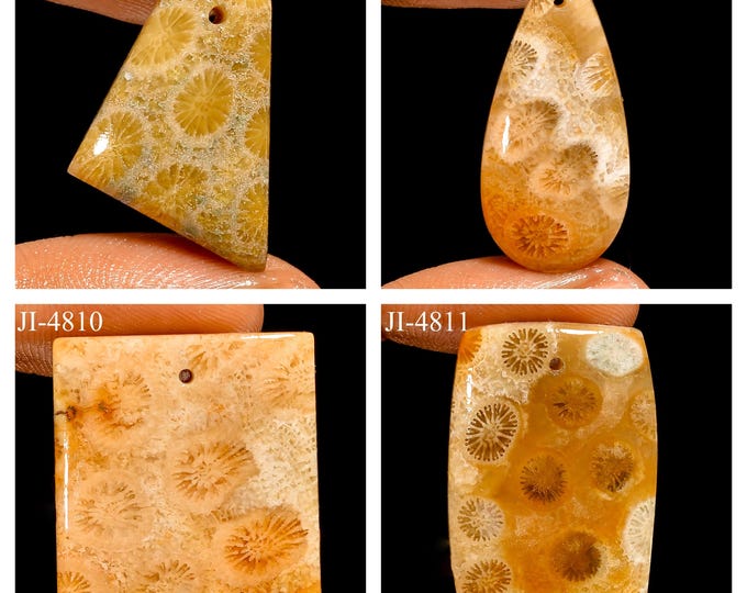 Natural Fossil Coral Fancy Shape Front Drilled Smooth Cabochon Single Pieces, Semi-Precious Gemstones For Jewelry Making