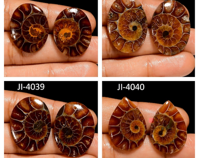 Natural Ammonite Fancy Shape Front Drilled Smooth Cabochon Matching Pairs, Semi-Precious Gemstones For Jewelry Making